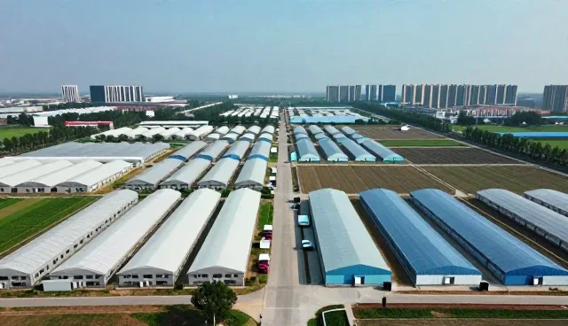 金融服务外包业务如何适应技术变革与合规挑战